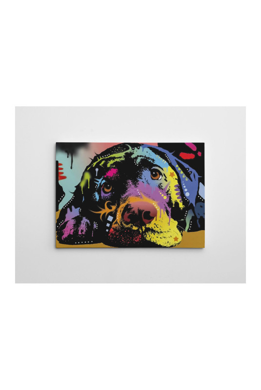 Peinture décorative sur toile - Multicolore