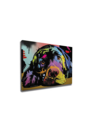 Peinture décorative sur toile - Multicolore