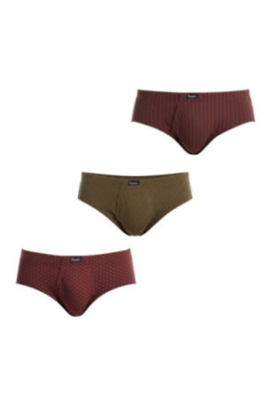 Pack de 3 slips avec ouverture Essentials Homme Grenat et vert