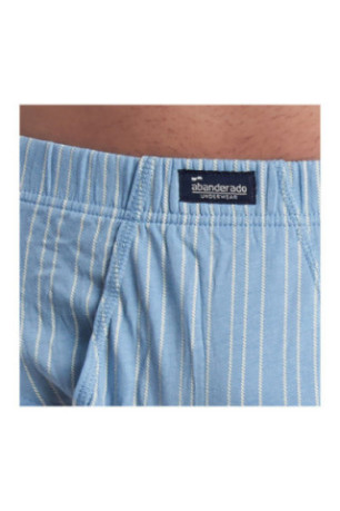 Lot de 3 slips Essentials Bleu ciel