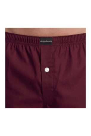 Lot de 2 boxers Essential Bleu et grenat