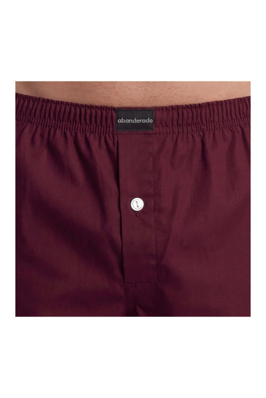 Lot de 2 boxers Essential Bleu et grenat