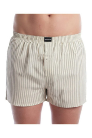 Lot de 2 boxers Essential Kaki-Beige