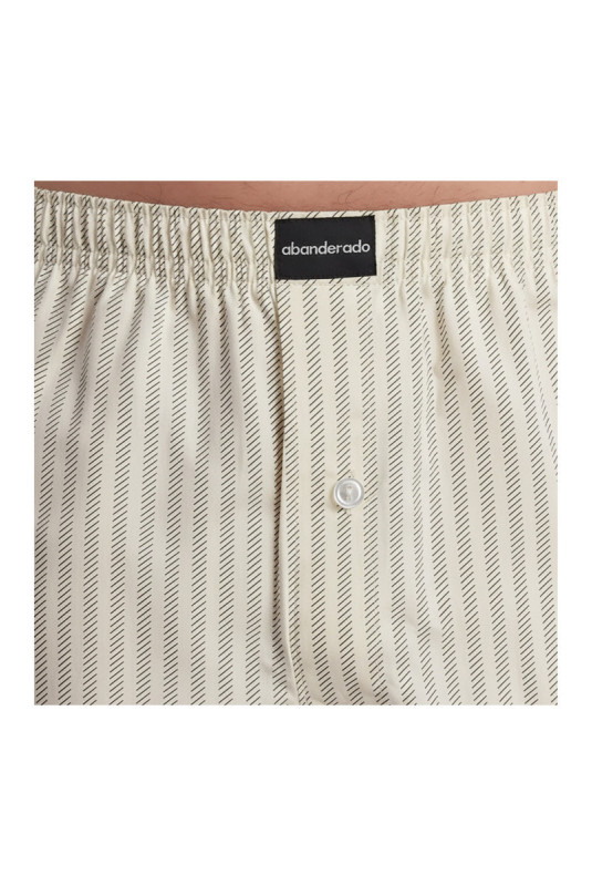Lot de 2 boxers Essential Kaki-Beige