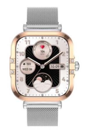 Montre connectée Edition Véga Argent