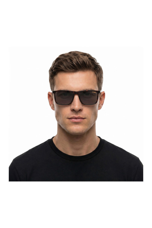 Lunettes de soleil 231/S marron 55 mm