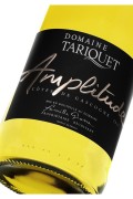 Amplitude Tariquet - Blanc - Tariquet - 2022 - 0,75 L x1 Domaine Tariquet  AMPLITUDE22X1