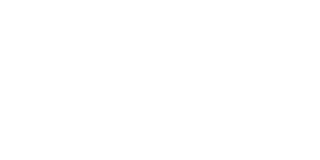 L'INCONTOURNABLE AIR MAX DN Logo