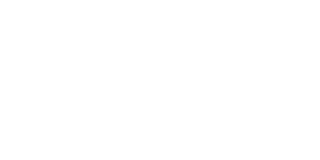 VALISES Logo