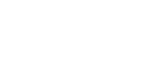 PRATIQUE & FIABLE Logo