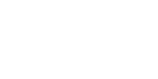 LOOK ESTIVAL Logo