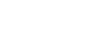 CONDUITE EN SÉCURITÉ Logo